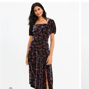 Loft floral velvet dress worn once